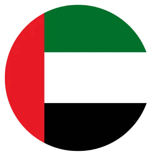 UAE flag